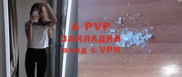 a pvp Белокуриха