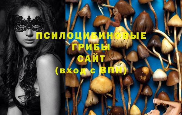 крисы Беломорск