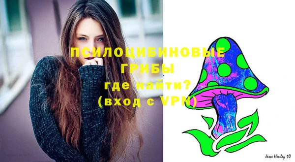 крисы Беломорск