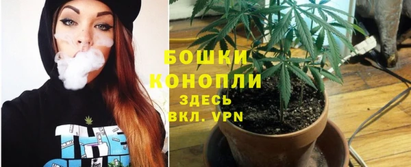 a pvp Белокуриха