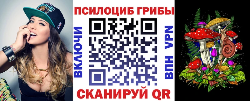 Псилоцибиновые грибы Psilocybe  дарнет шоп  кракен сайт  Кашира 
